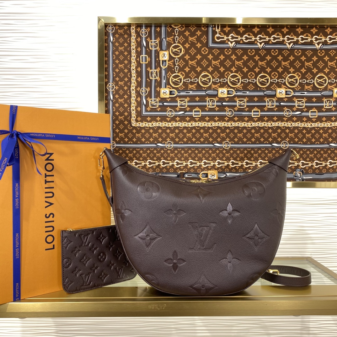 Louis Vuitton Monogram everyday