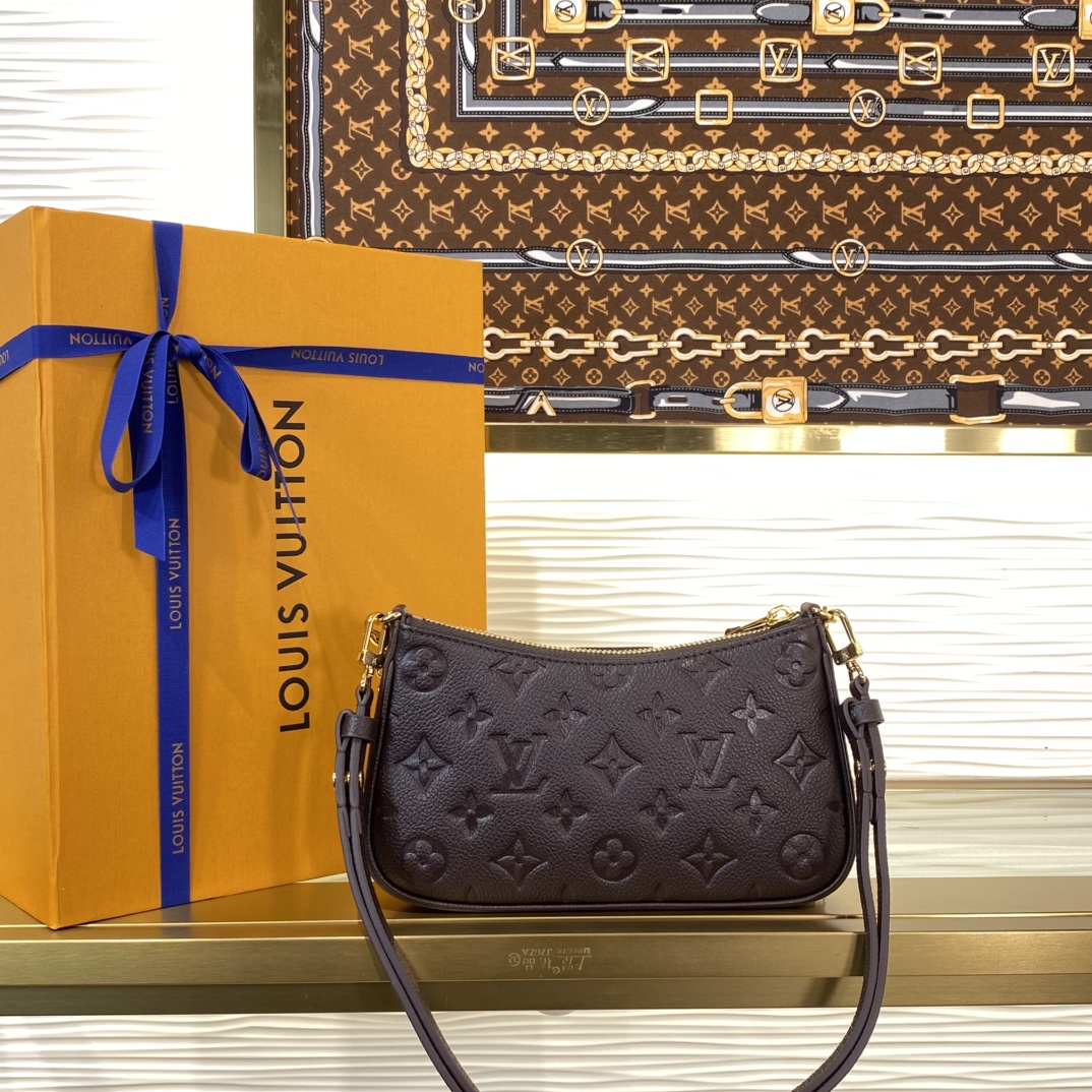 Louis Vuitton Monogram everyday