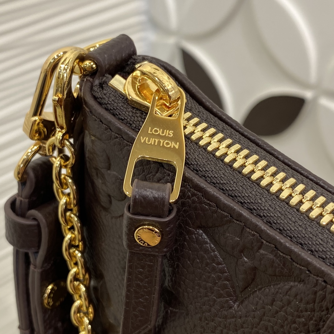Louis Vuitton Monogram everyday