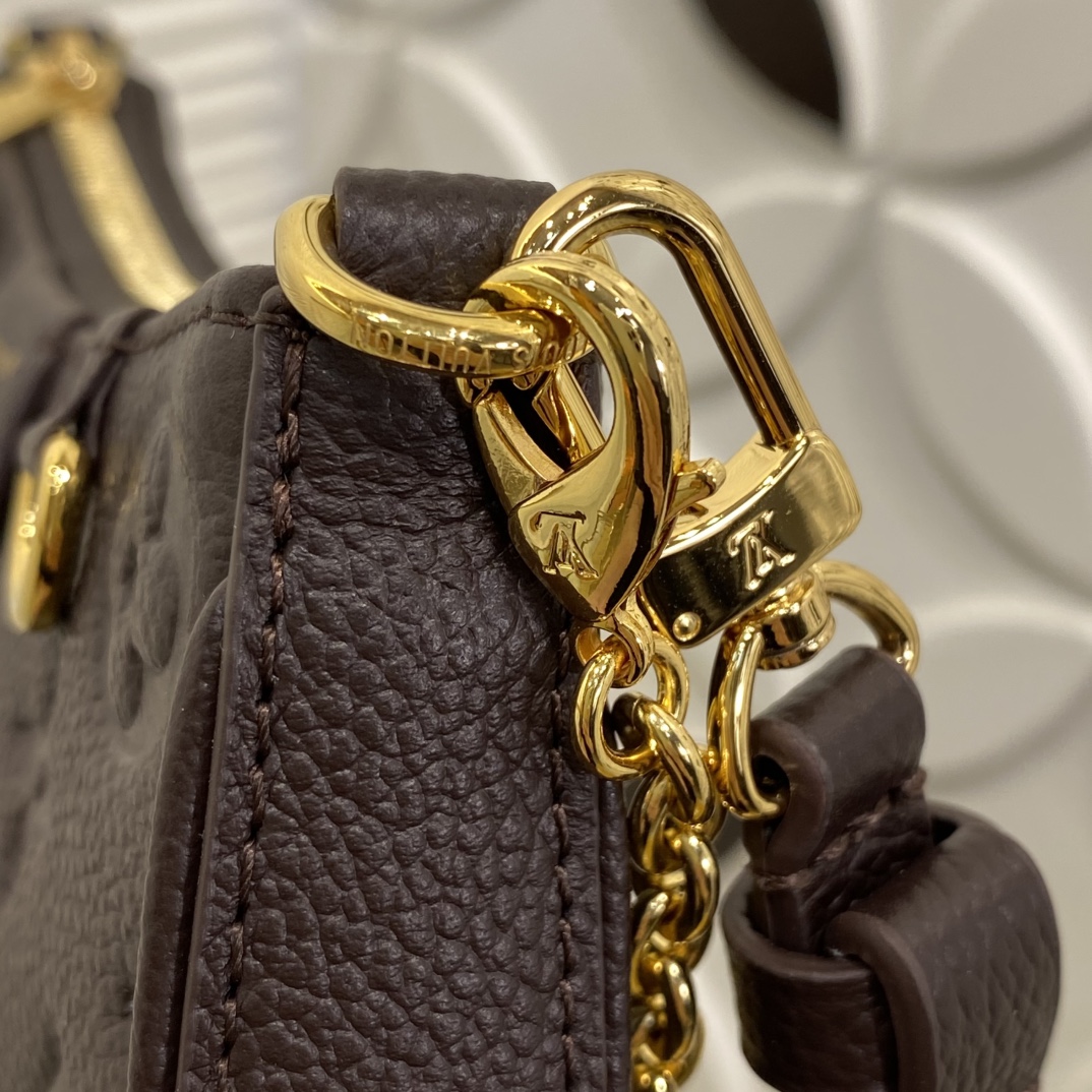 Louis Vuitton Monogram everyday