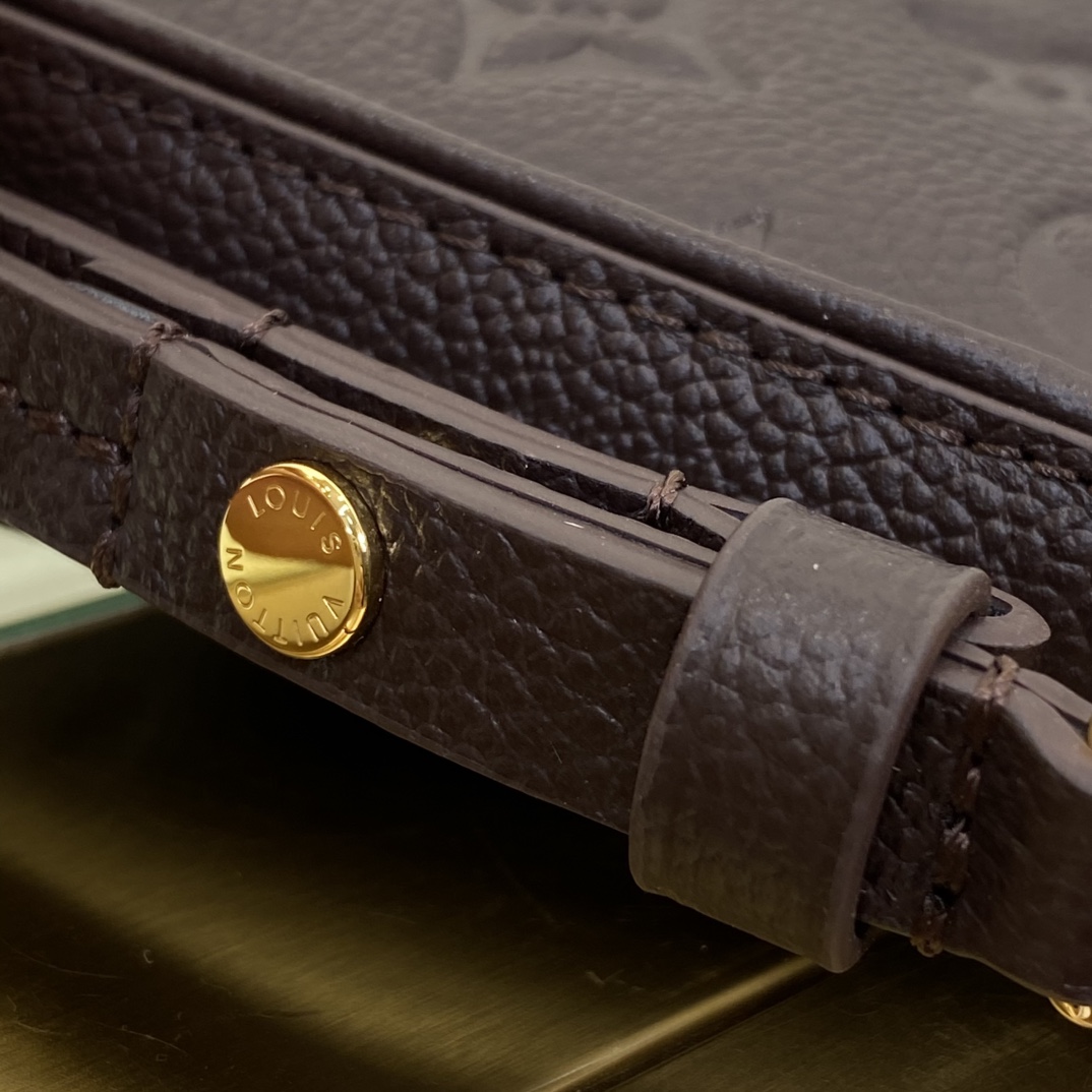 Louis Vuitton Monogram everyday