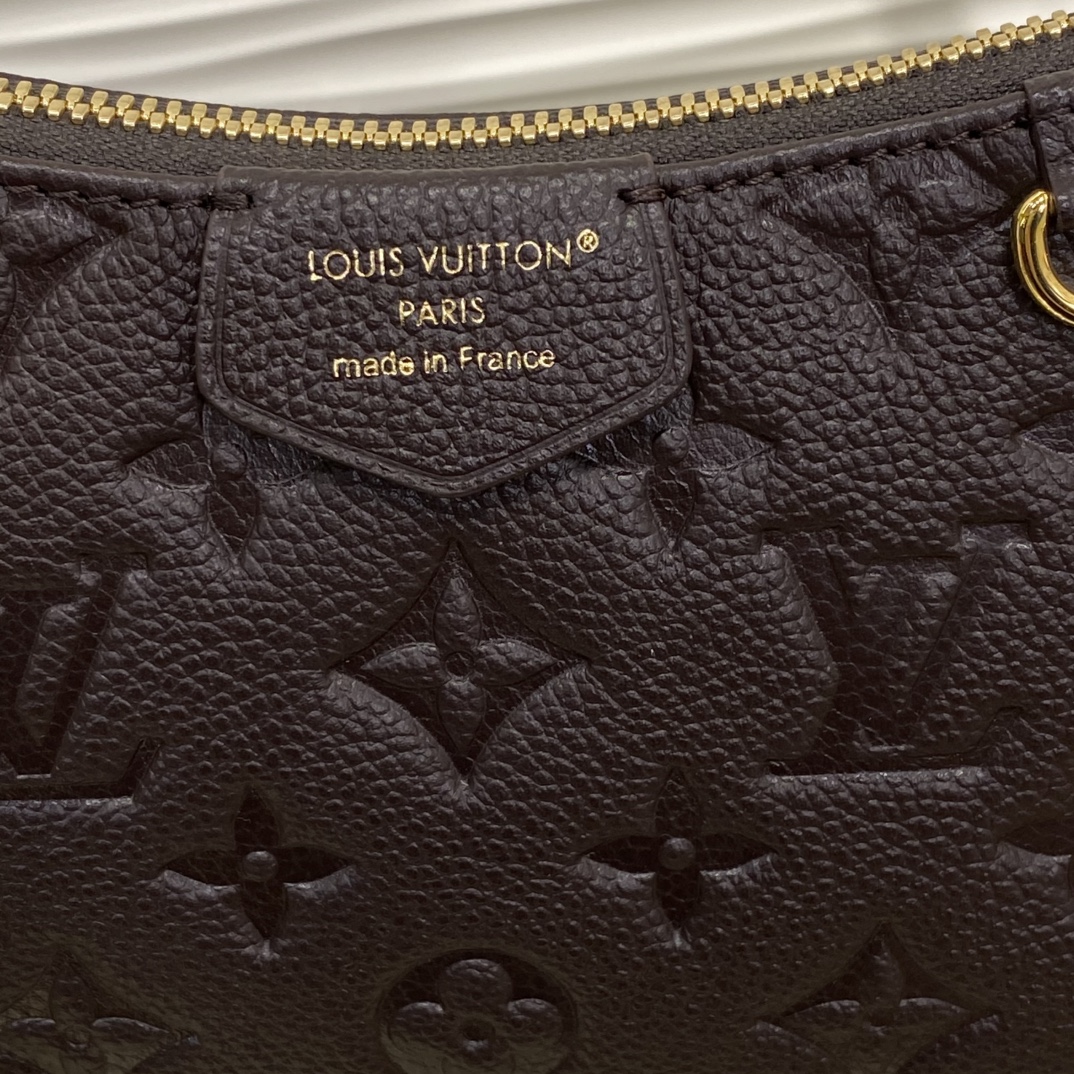 Louis Vuitton Monogram everyday