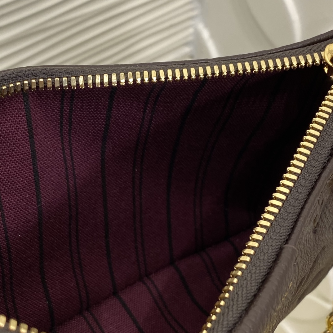 Louis Vuitton Monogram everyday