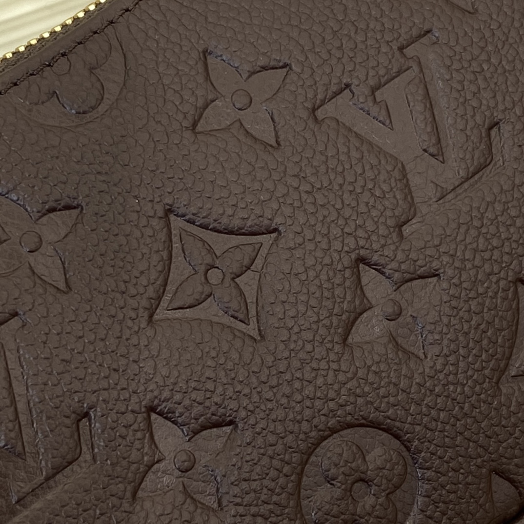 Louis Vuitton Monogram everyday