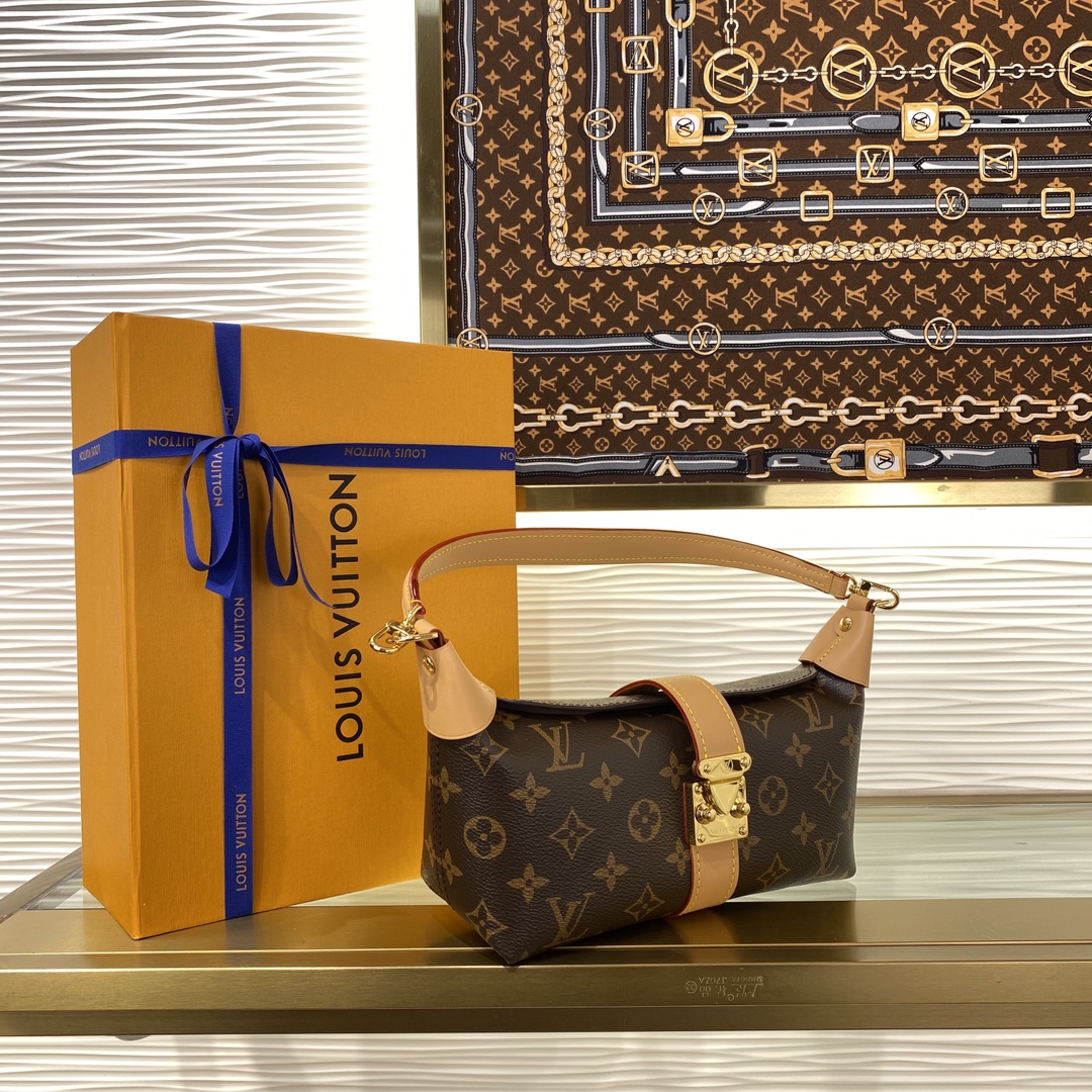 Louis Vuitton M26191 Monogram everyday