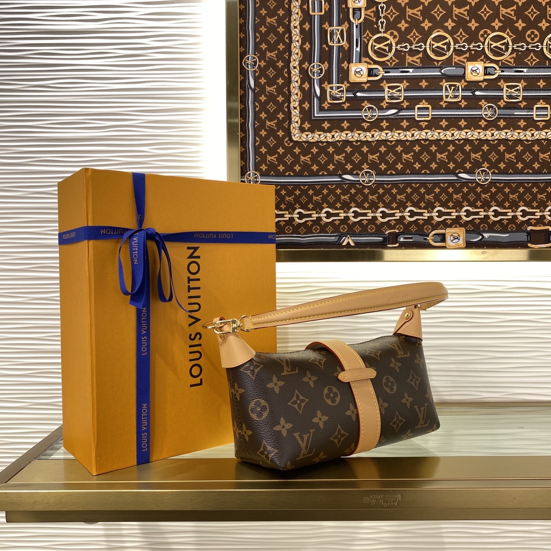 Louis Vuitton M26191 Monogram everyday