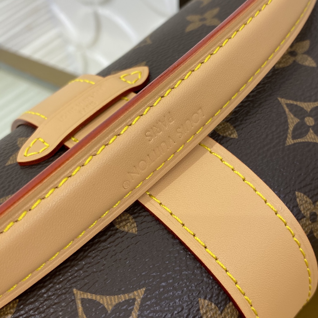 Louis Vuitton M26191 Monogram everyday