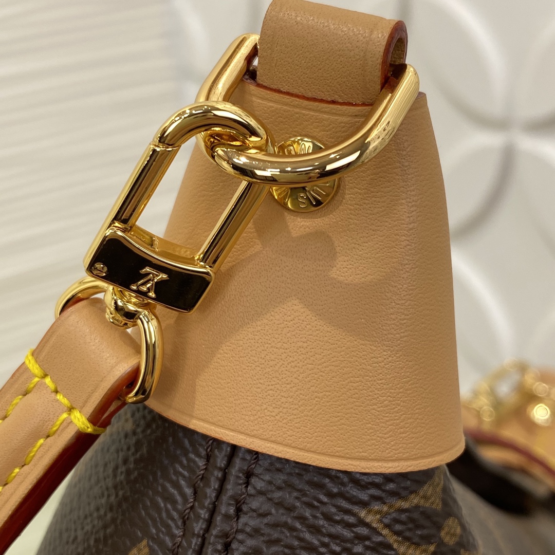 Louis Vuitton M26191 Monogram everyday
