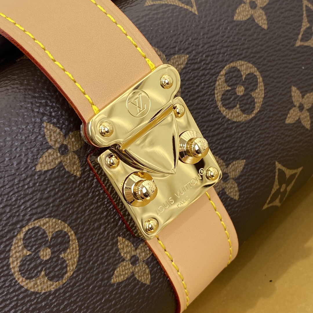 Louis Vuitton M26191 Monogram everyday
