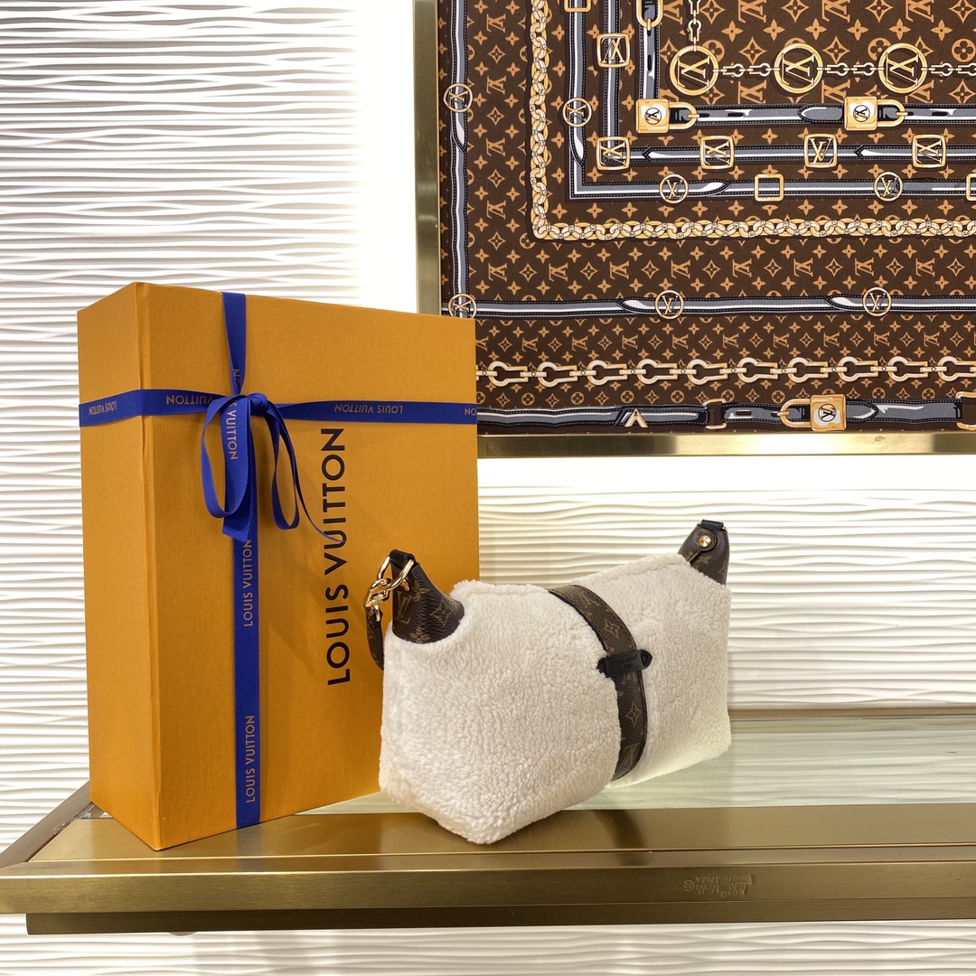 Louis Vuitton M26245 Monogram everyday