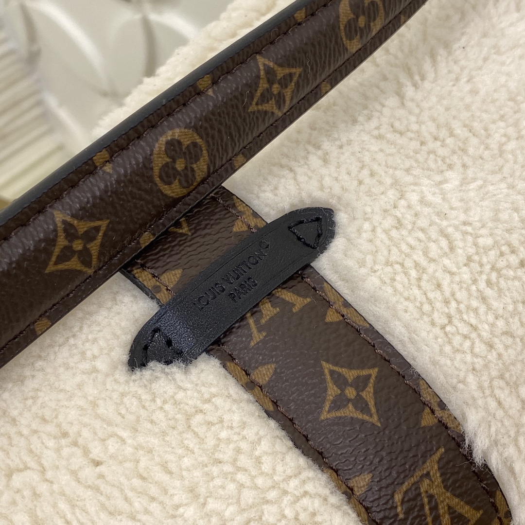 Louis Vuitton M26245 Monogram everyday