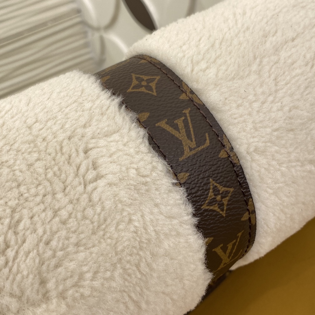 Louis Vuitton M26245 Monogram everyday