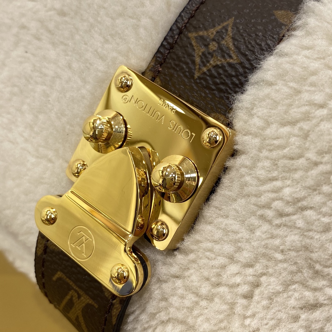 Louis Vuitton M26245 Monogram everyday