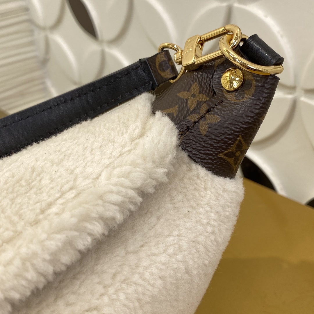 Louis Vuitton M26245 Monogram everyday