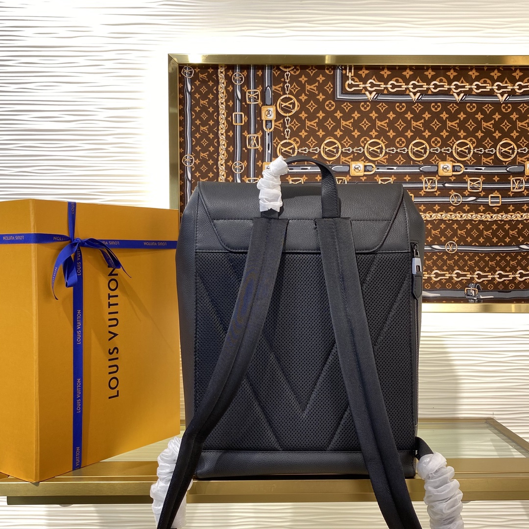 Louis Vuitton everyday
