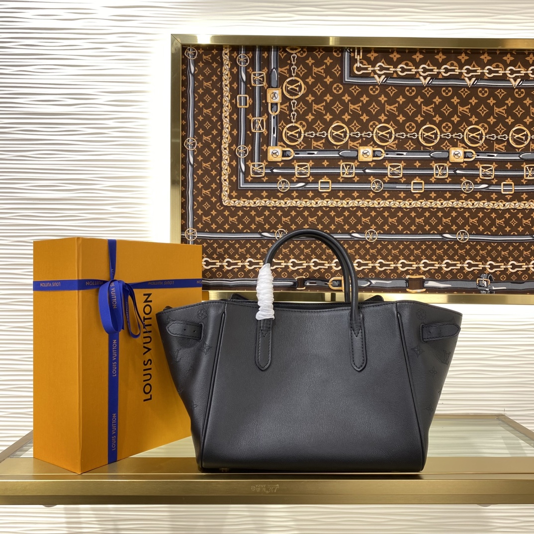 Louis Vuitton Monogram everyday