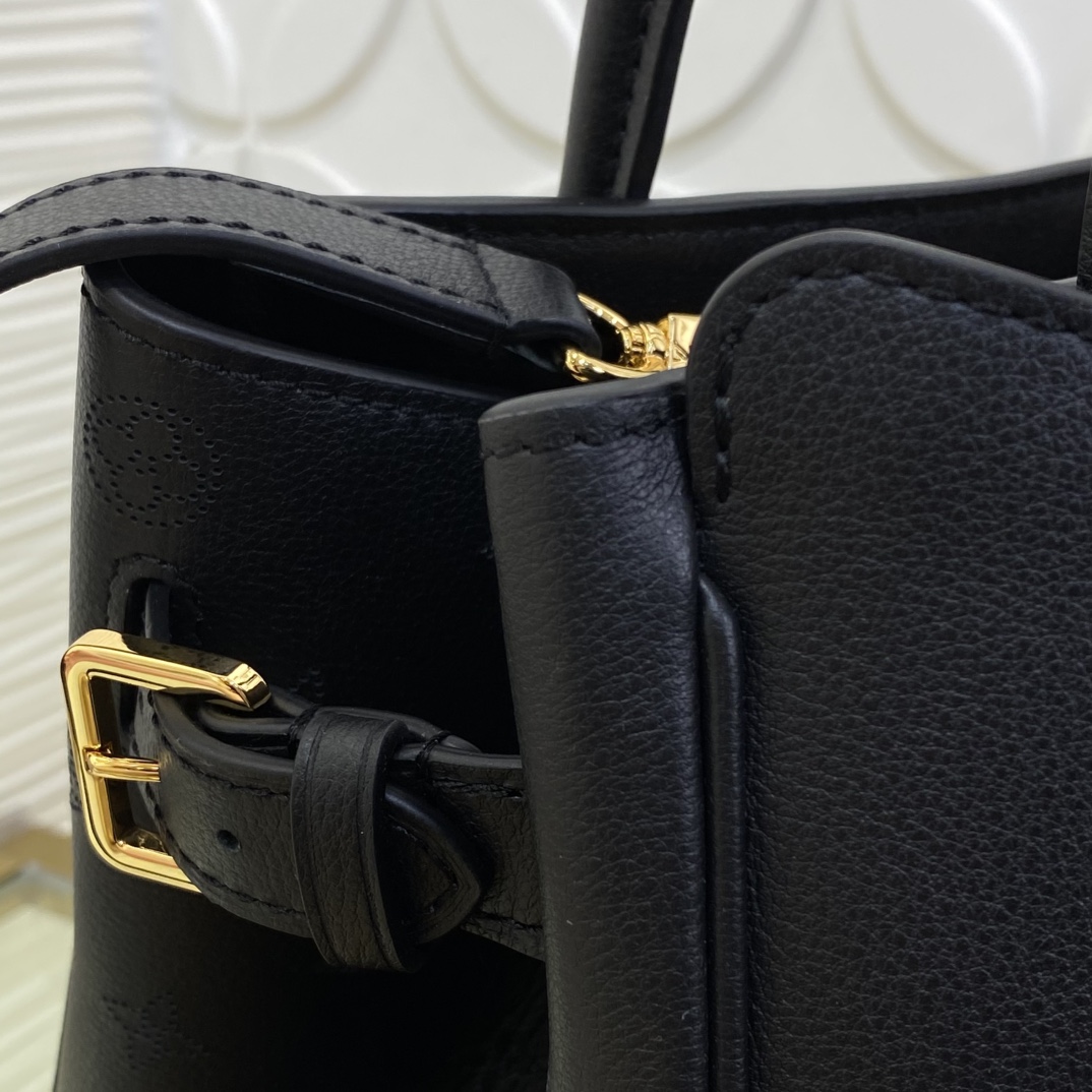 Louis Vuitton Monogram everyday