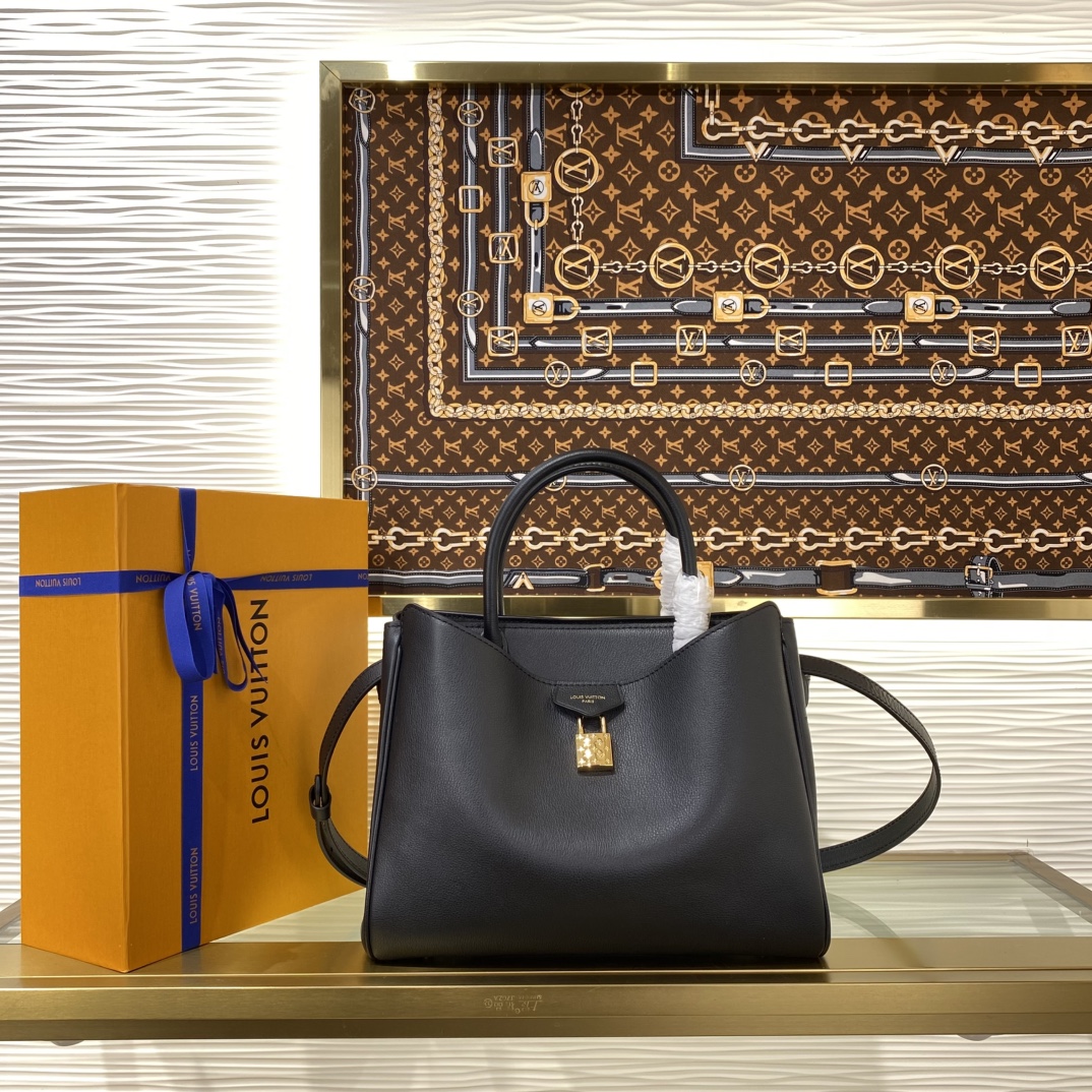 Louis Vuitton Monogram everyday