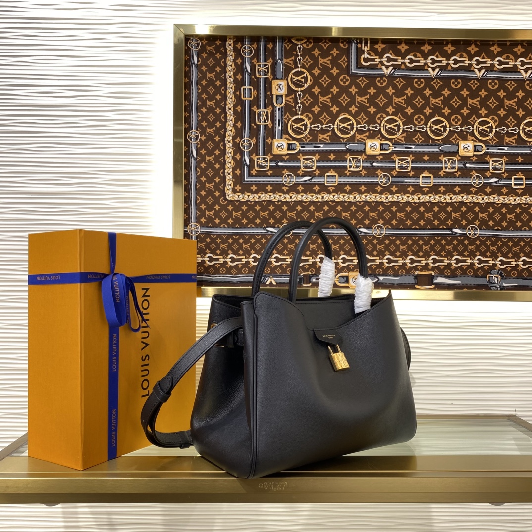 Louis Vuitton Monogram everyday