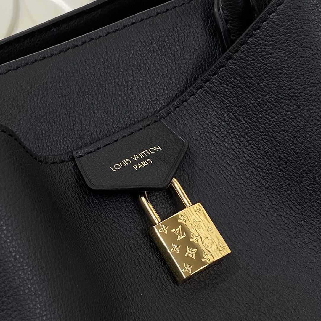 Louis Vuitton Monogram everyday