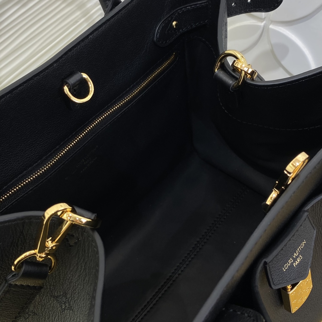 Louis Vuitton Monogram everyday