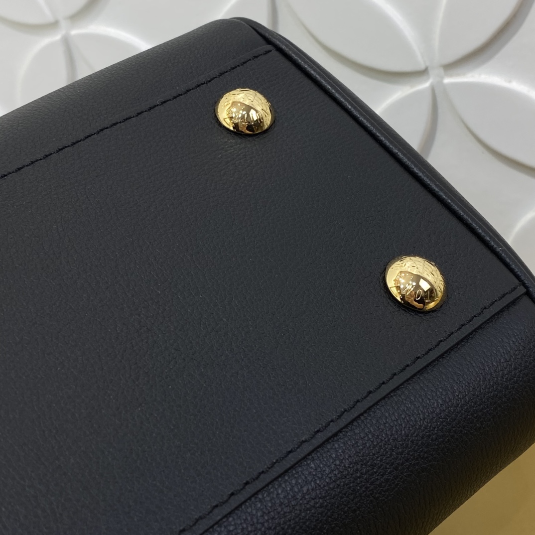 Louis Vuitton Monogram everyday