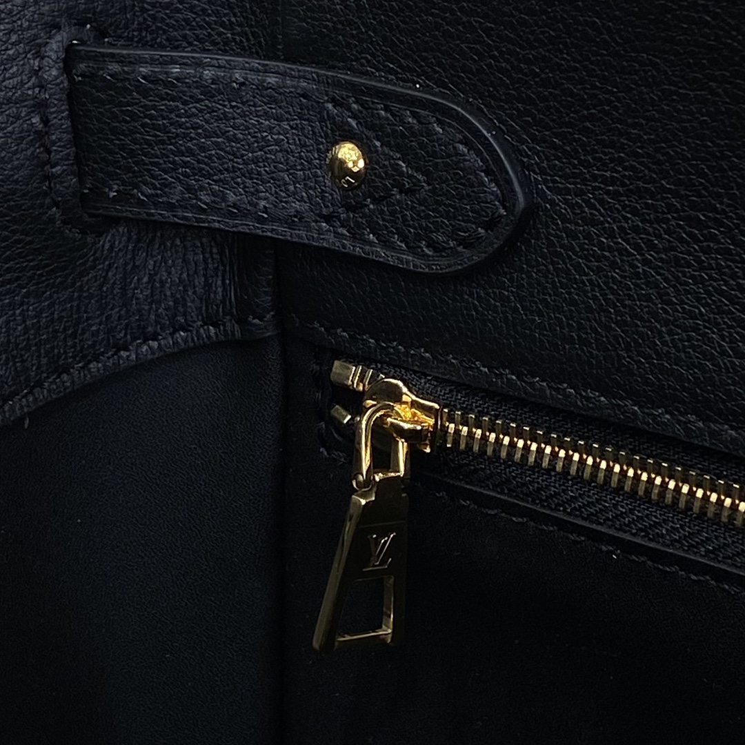 Louis Vuitton Monogram everyday