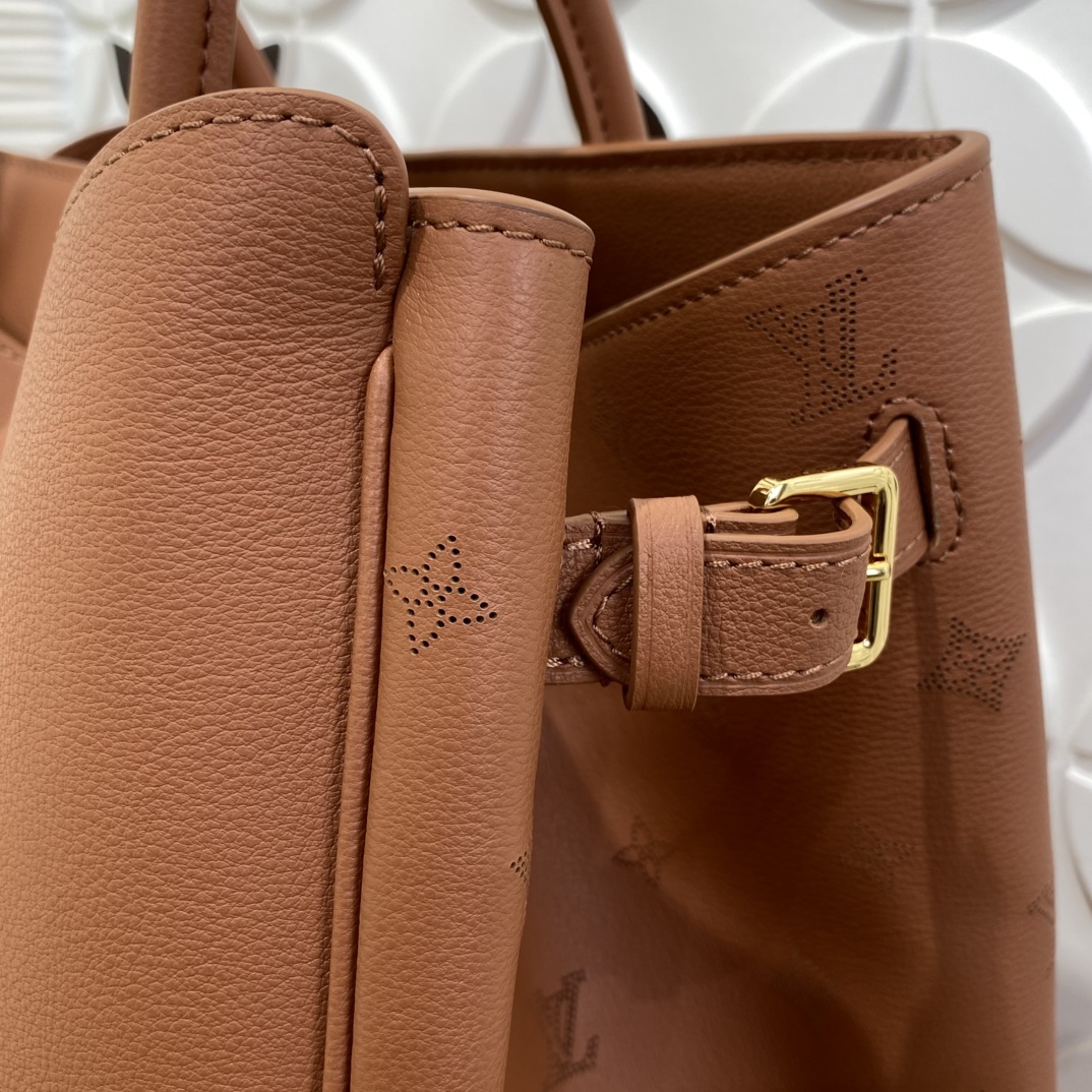 Louis Vuitton M26338 Monogram everyday