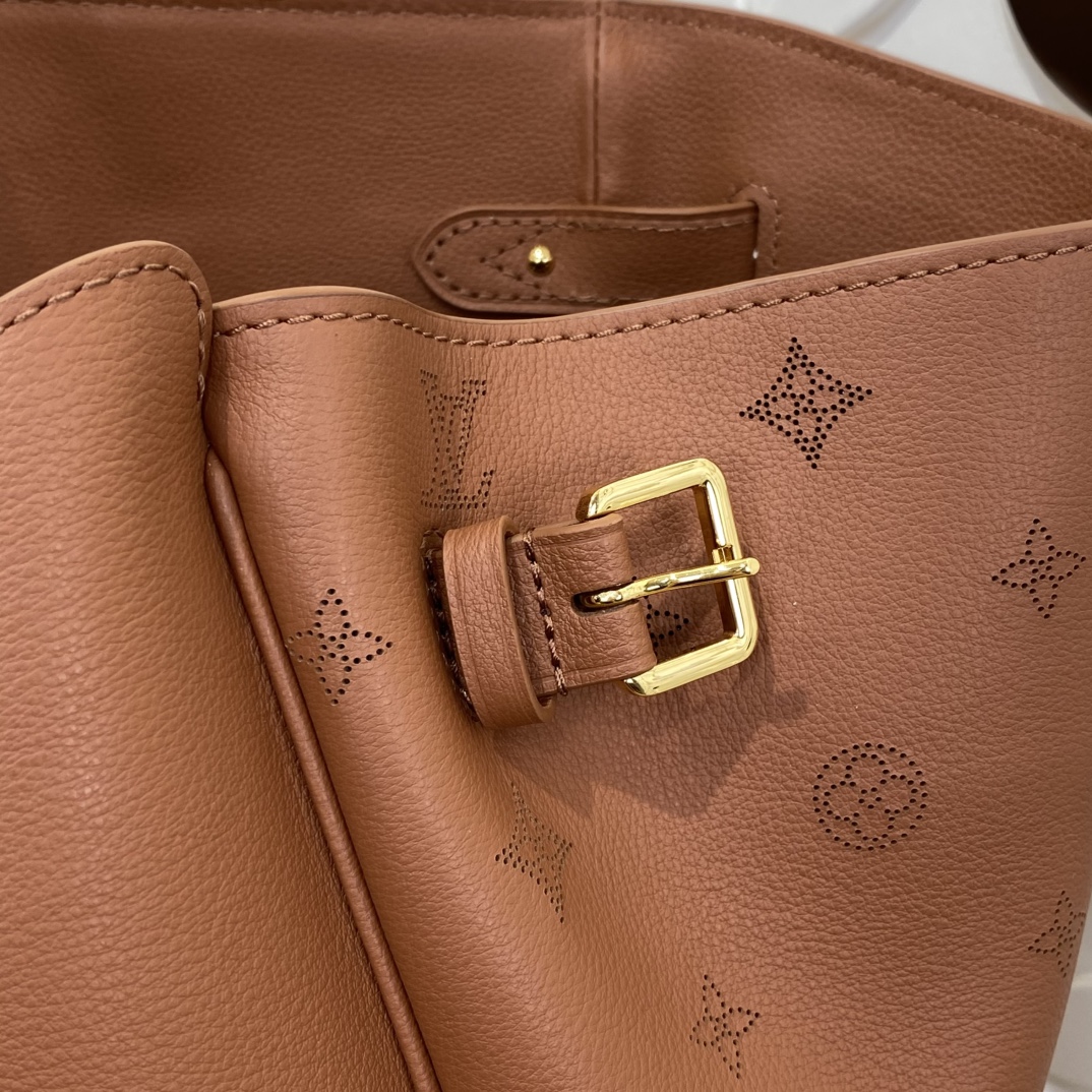 Louis Vuitton M26338 Monogram everyday