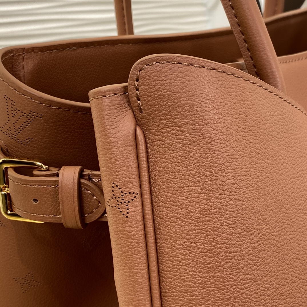 Louis Vuitton M26338 Monogram everyday