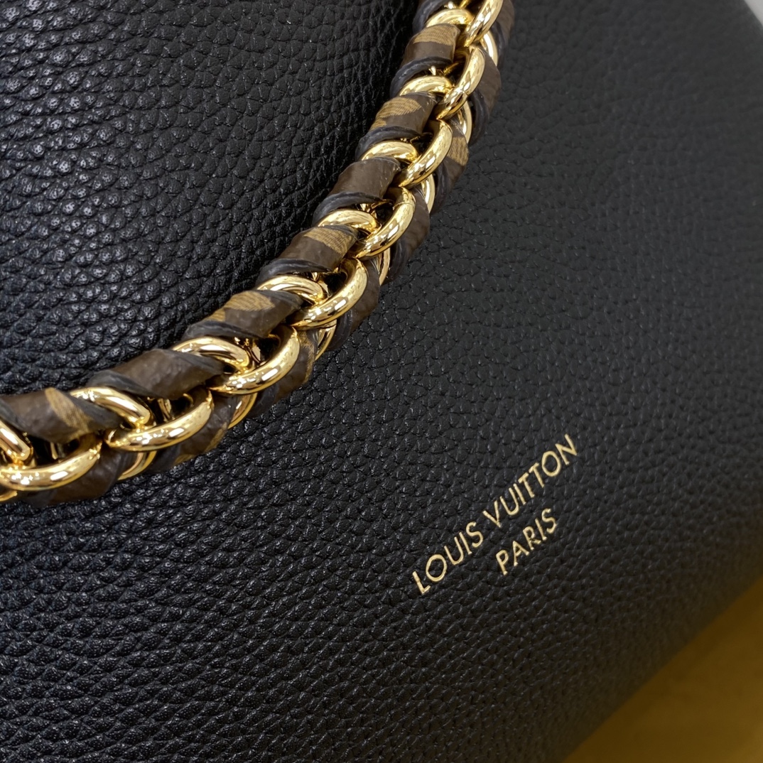 Louis Vuitton Monogram everyday