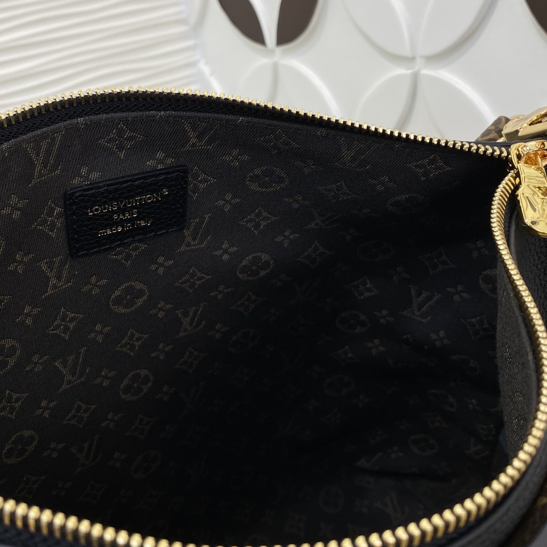 Louis Vuitton Monogram everyday
