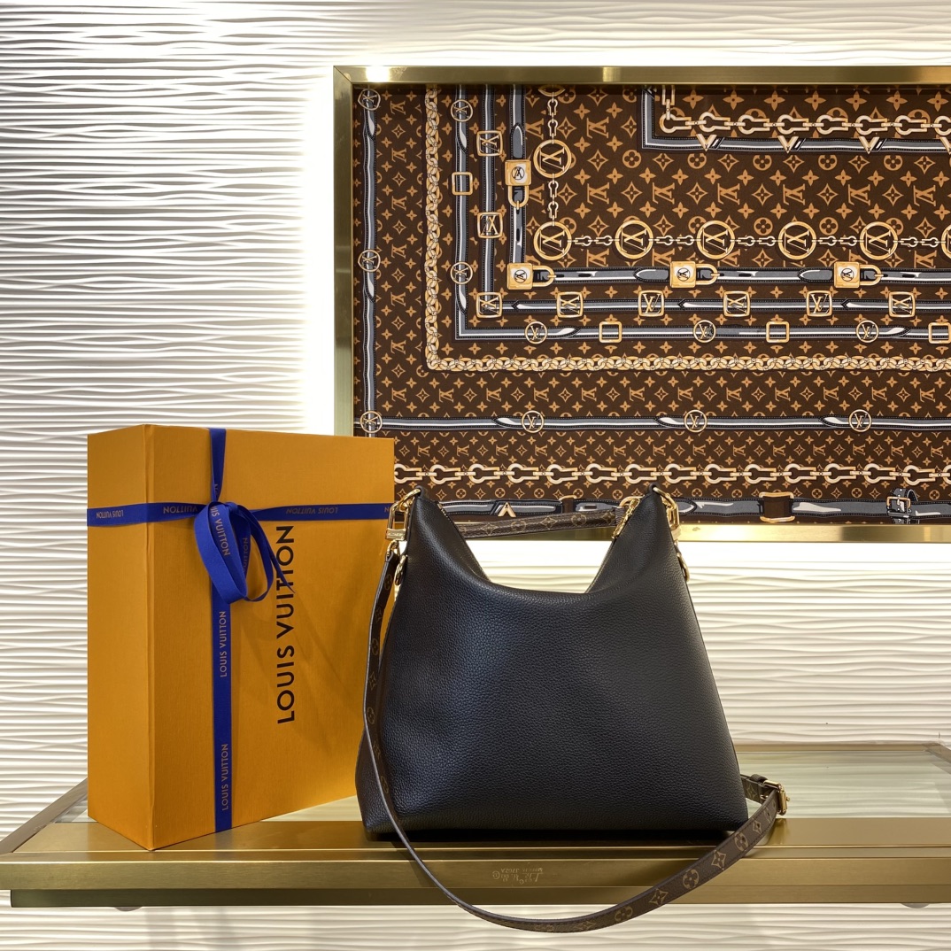 Louis Vuitton Monogram everyday