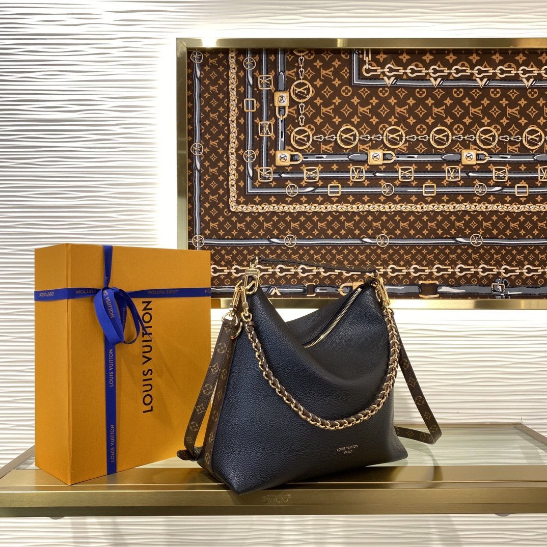 Louis Vuitton Monogram everyday