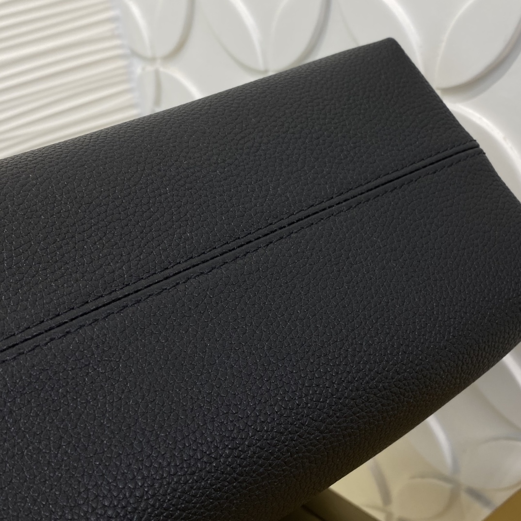 Louis Vuitton Monogram everyday