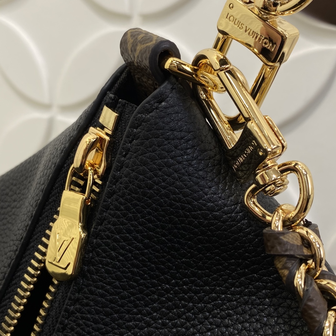 Louis Vuitton Monogram everyday
