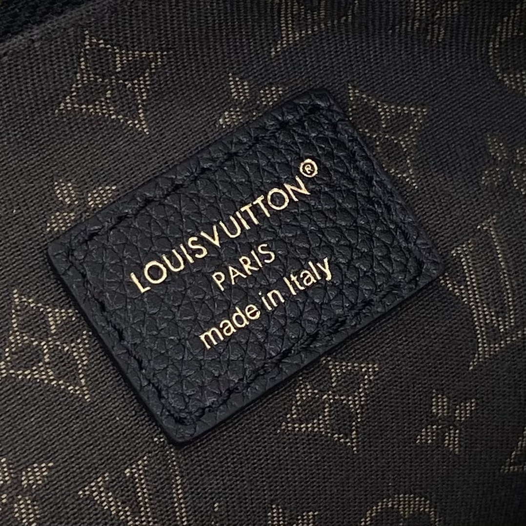 Louis Vuitton Monogram everyday