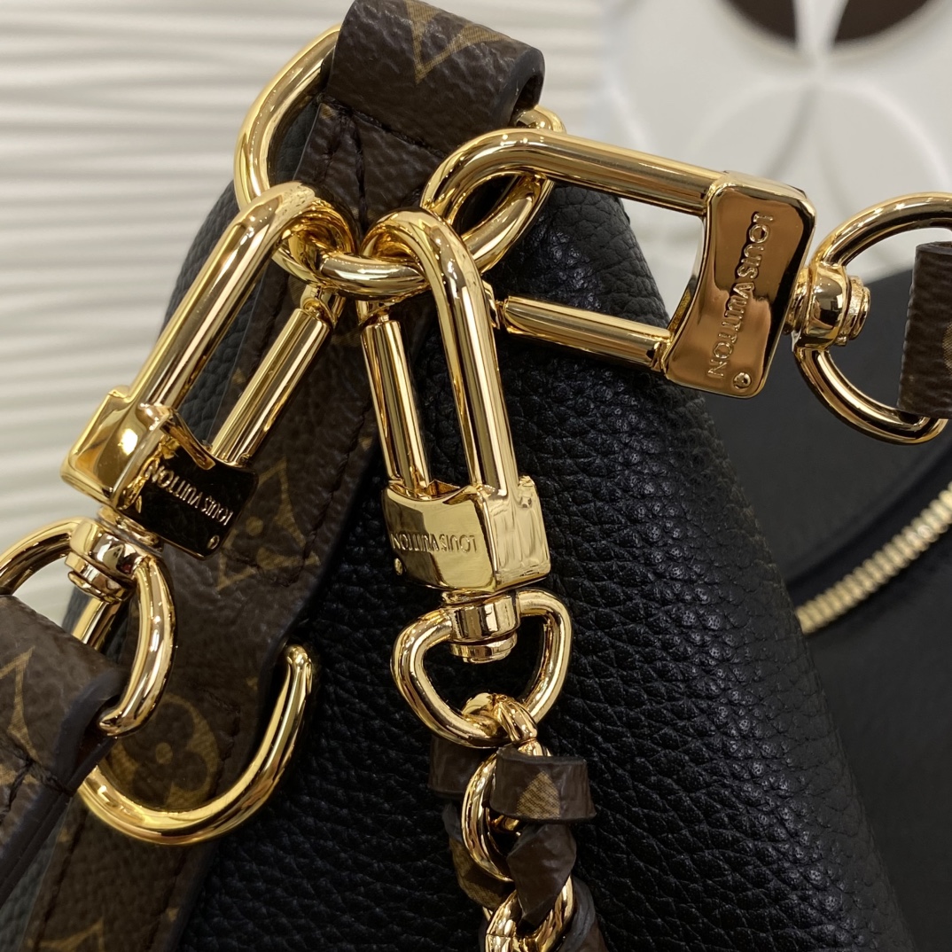 Louis Vuitton Monogram everyday
