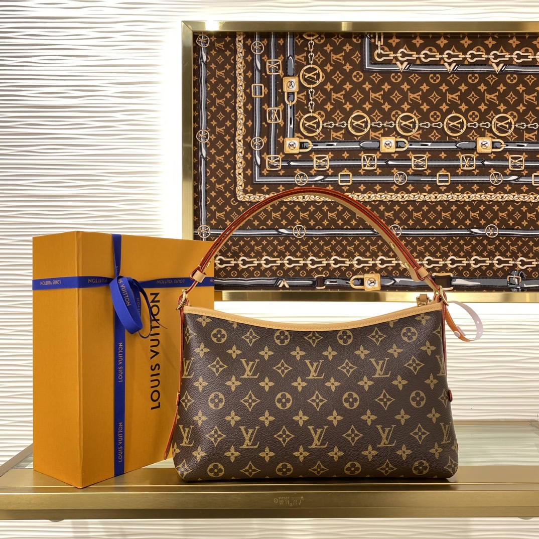 Louis Vuitton M28101 Monogram everyday