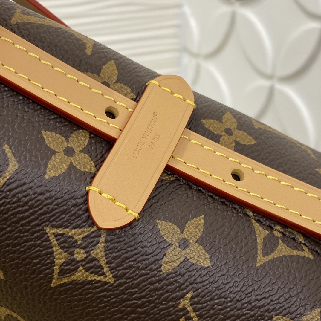 Louis Vuitton M28101 Monogram everyday