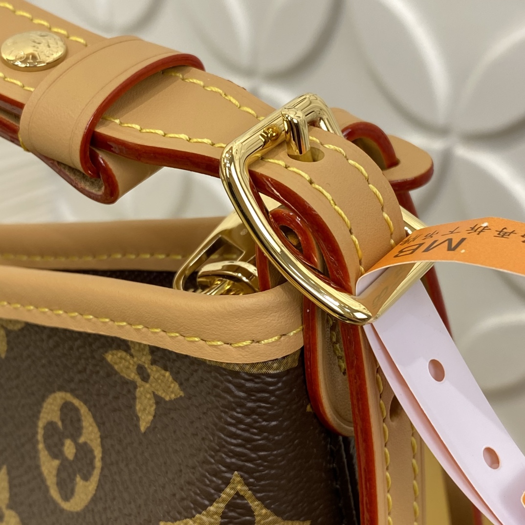 Louis Vuitton M28101 Monogram everyday