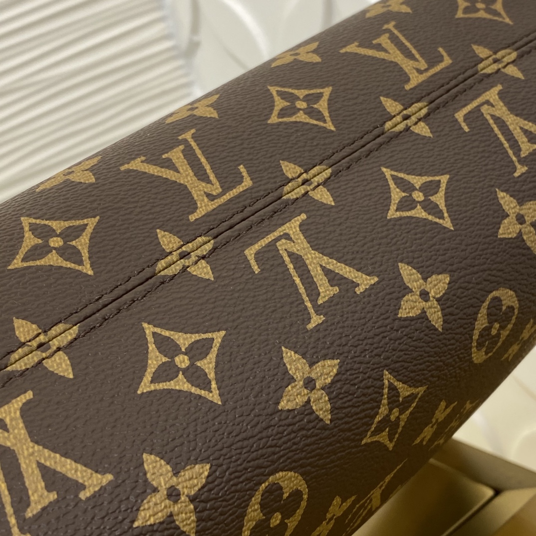 Louis Vuitton M28101 Monogram everyday