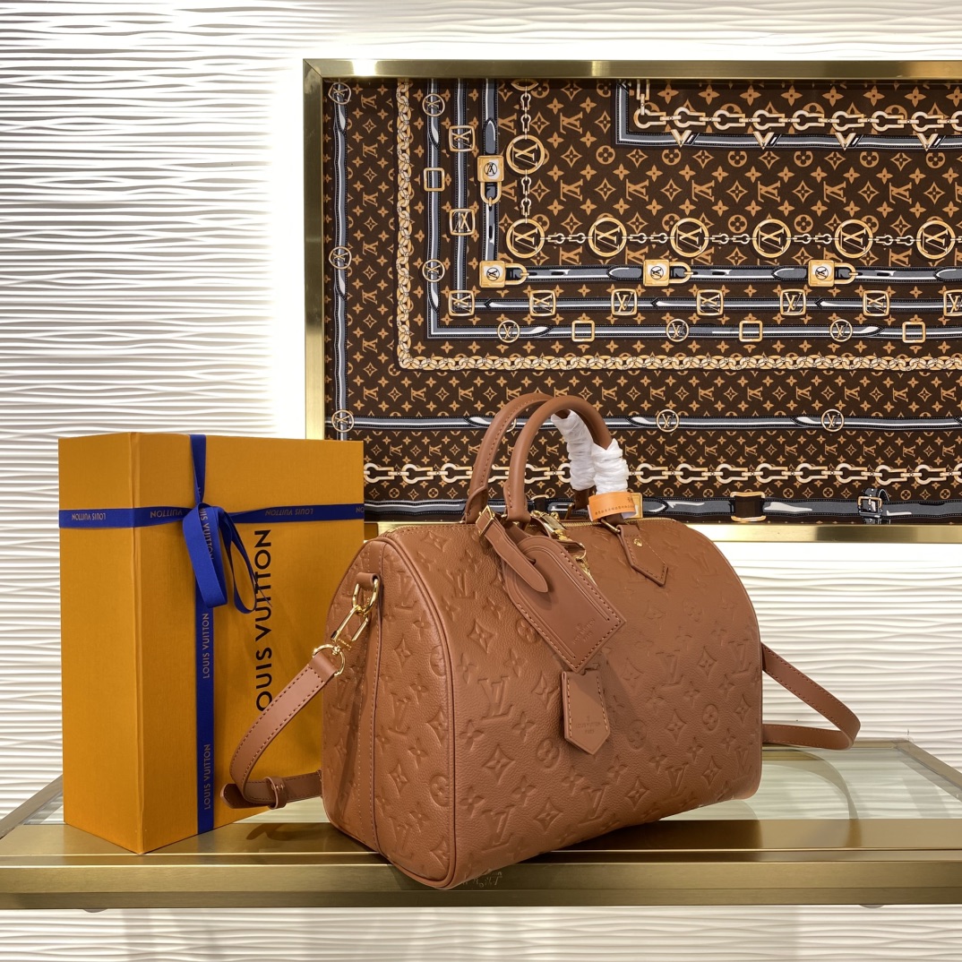 Louis Vuitton Speedy Monogram everyday