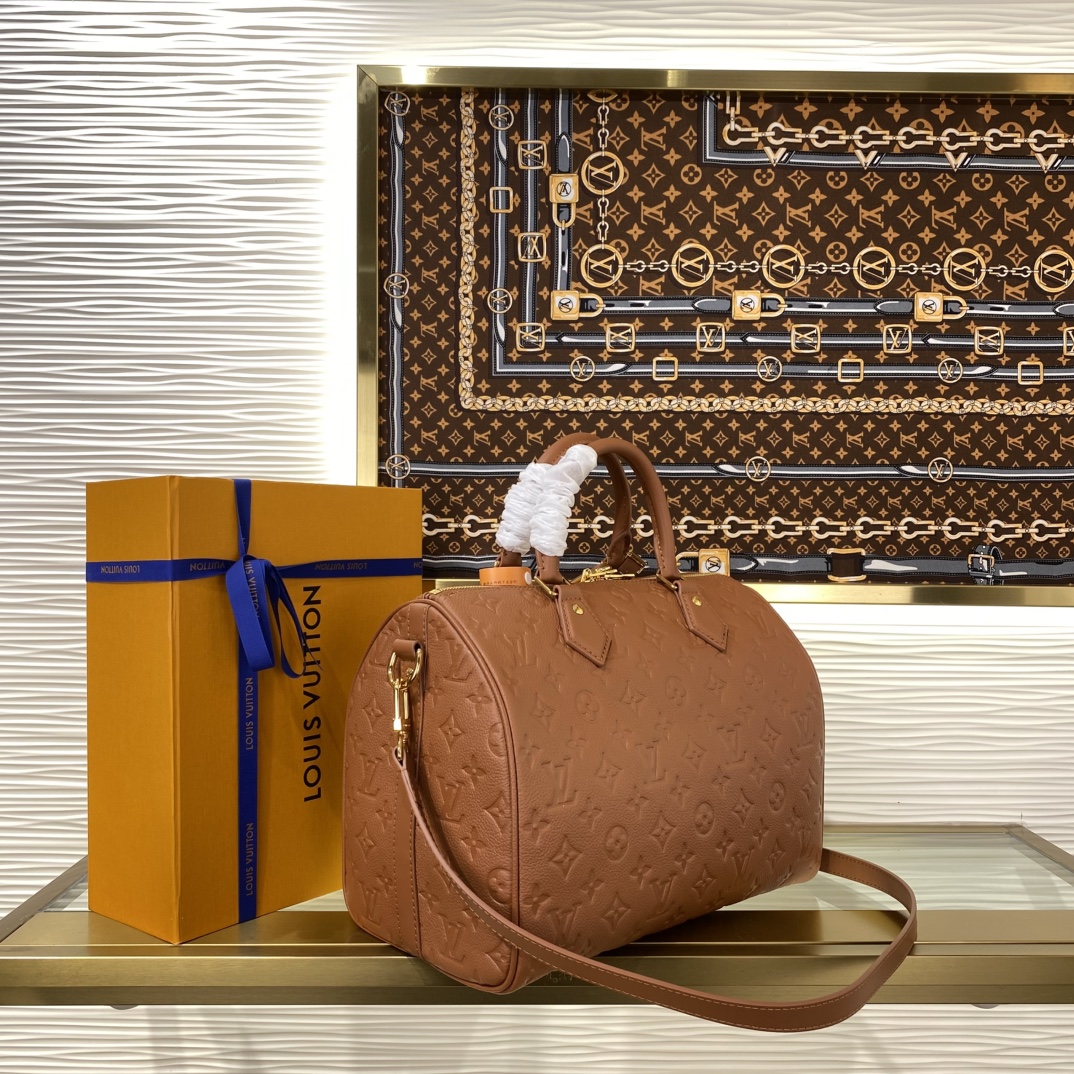 Louis Vuitton Speedy Monogram everyday
