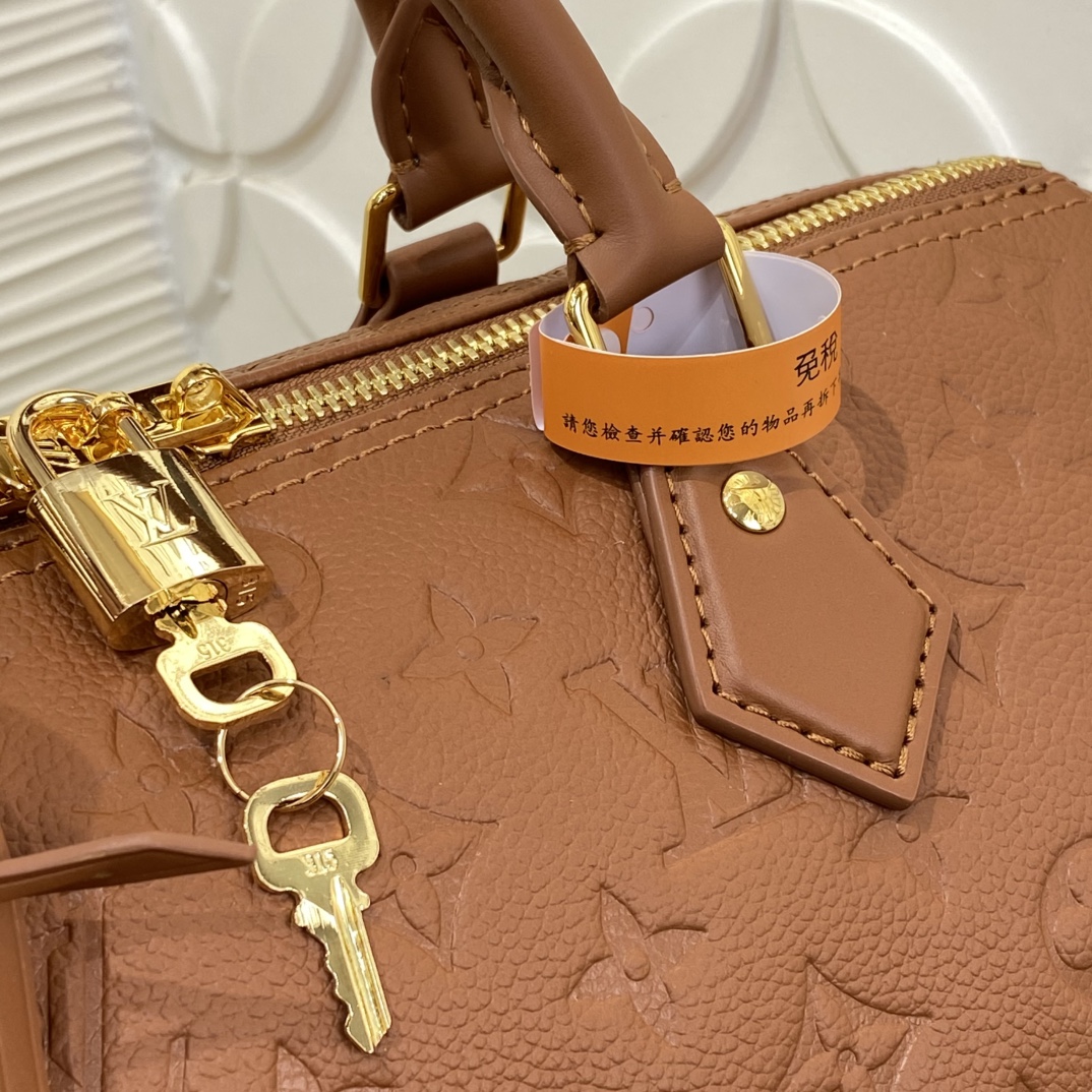 Louis Vuitton Speedy Monogram everyday
