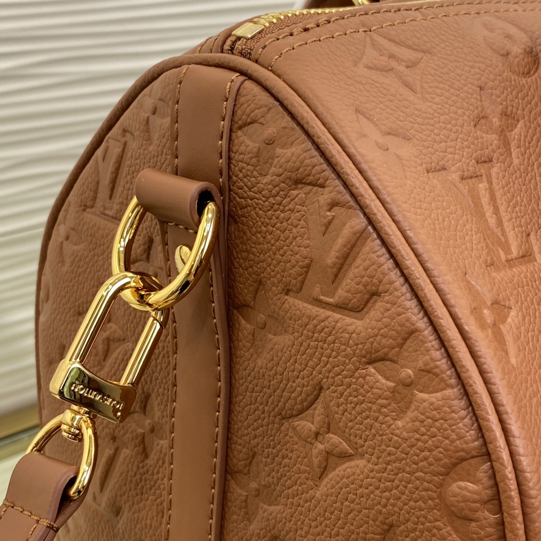 Louis Vuitton Speedy Monogram everyday