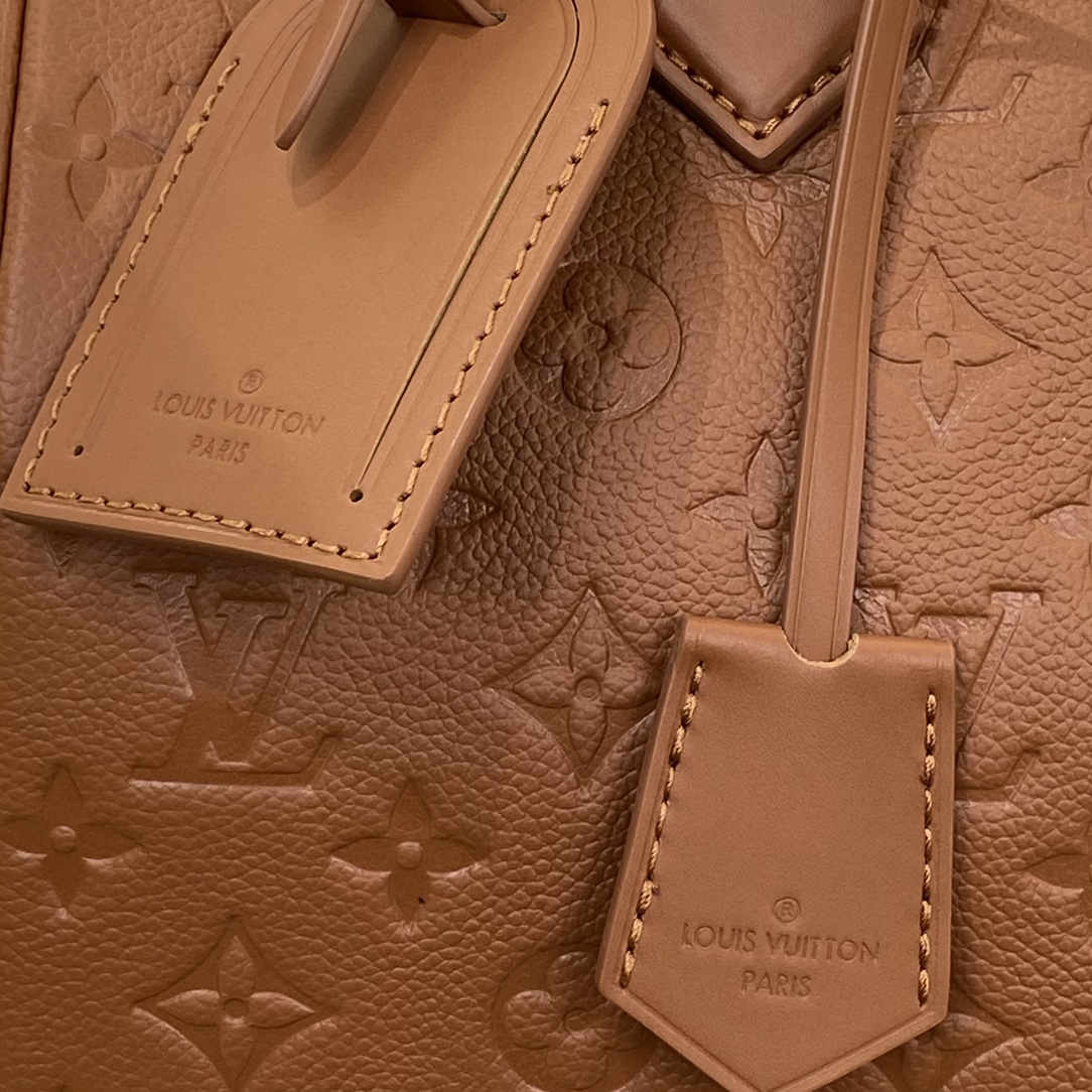 Louis Vuitton Speedy Monogram everyday