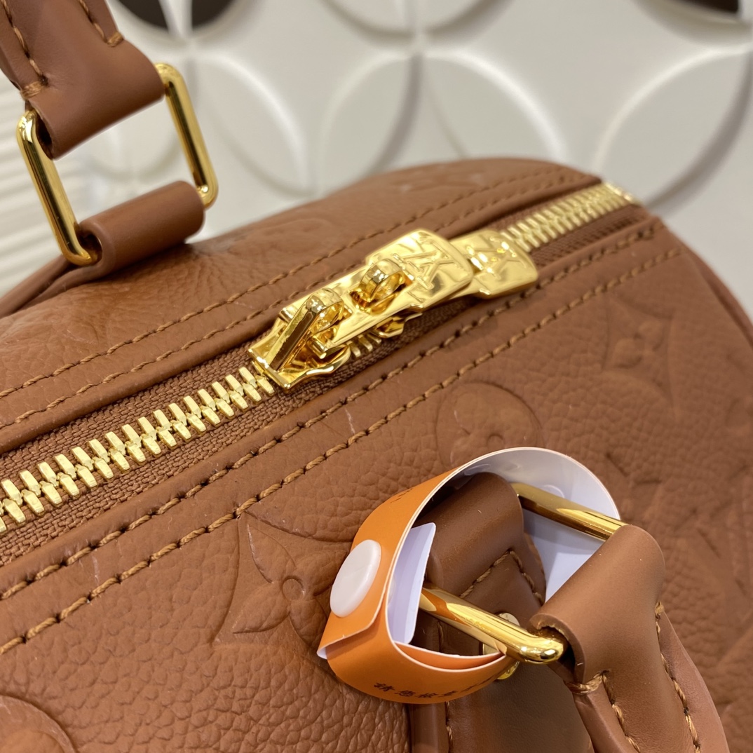 Louis Vuitton Speedy Monogram everyday