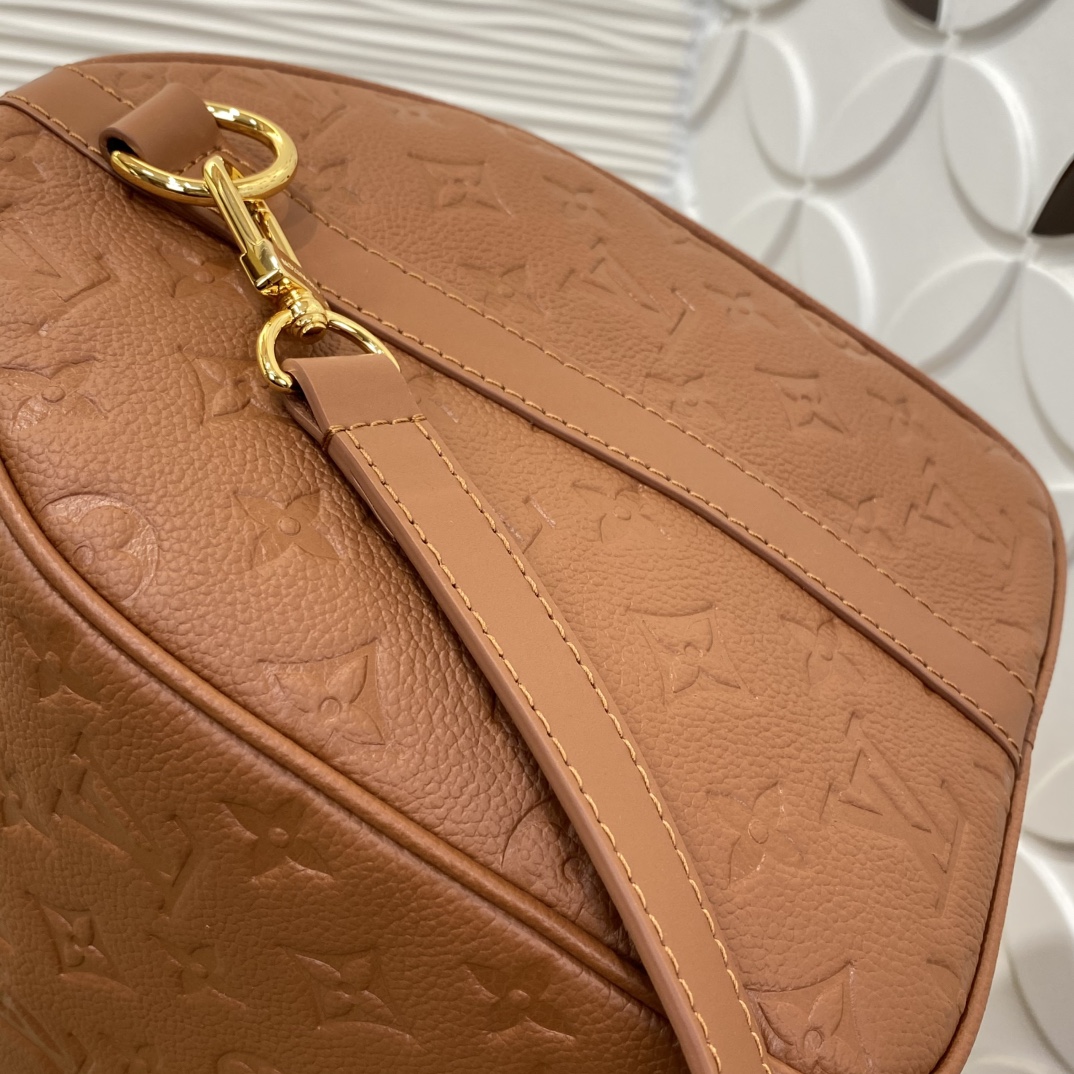 Louis Vuitton Speedy Monogram everyday