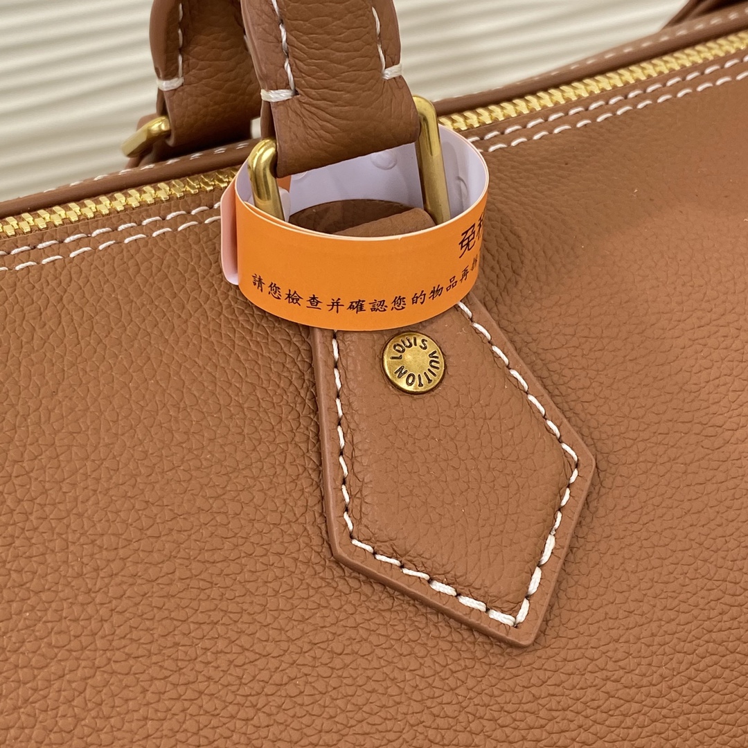 Louis Vuitton Speedy everyday